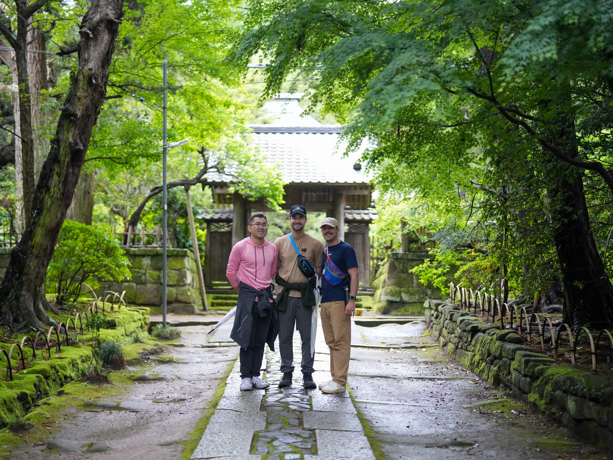 A small group walking a tree-lined path to a shrine gate